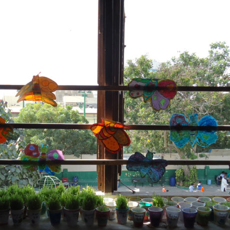 The International Schools Educational Olympiad